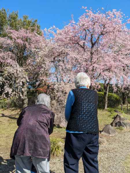 写真：体操の様子